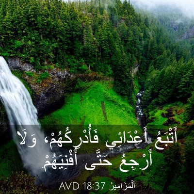 Picture 03 - اَلْمَزَامِيرُ 18:37 AVD - أَتْبَعُ أَعْدَائِي - Bible Verse Picture