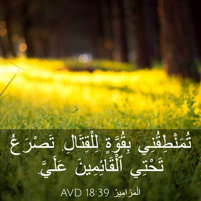 Picture 03 - اَلْمَزَامِيرُ 18:39 AVD - تُمَنْطِقُنِي بِقُوَّةٍ - Bible Verse Picture