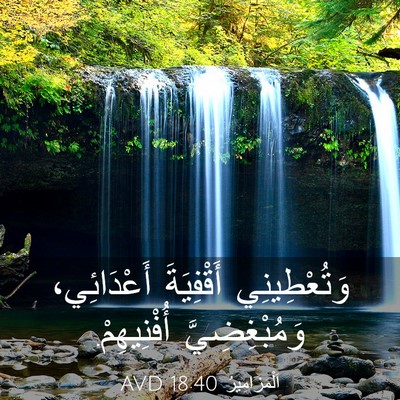 Picture 03 - اَلْمَزَامِيرُ 18:40 AVD - وَتُعْطِينِي أَقْفِيَةَ - Bible Verse Picture