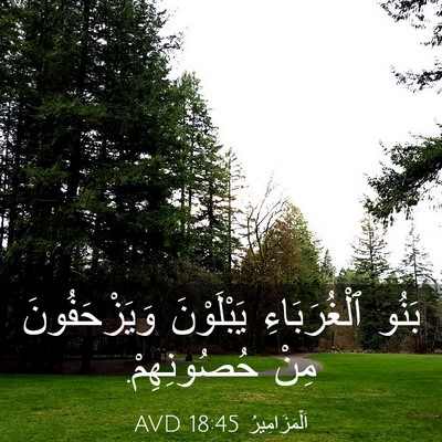 Picture 03 - اَلْمَزَامِيرُ 18:45 AVD - بَنُو ٱلْغُرَبَاءِ - Bible Verse Picture