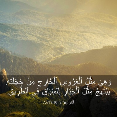 Picture 03 - اَلْمَزَامِيرُ 19:5 AVD - وَهِيَ مِثْلُ ٱلْعَرُوسِ - Bible Verse Picture