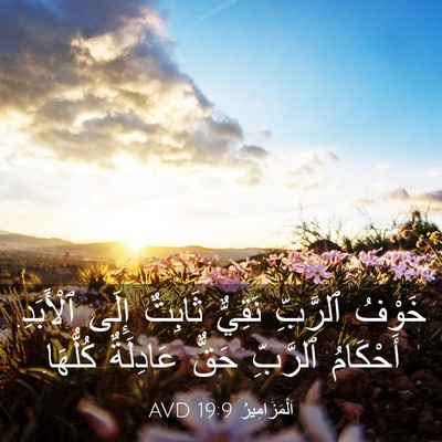 Picture 03 - اَلْمَزَامِيرُ 19:9 AVD - خَوْفُ ٱلرَّبِّ نَقِيٌّ - Bible Verse Picture