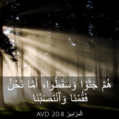 Picture 03 - اَلْمَزَامِيرُ 20:8 AVD - هُمْ جَثَوْا وَسَقَطُوا، - Bible Verse Picture