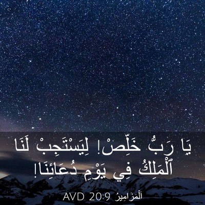 Picture 03 - اَلْمَزَامِيرُ 20:9 AVD - يَا رَبُّ خَلِّصْ! - Bible Verse Picture