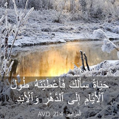 Picture 03 - اَلْمَزَامِيرُ 21:4 AVD - حَيَاةً سَأَلَكَ - Bible Verse Picture