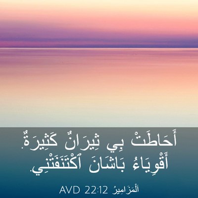 Picture 03 - اَلْمَزَامِيرُ 22:12 AVD - أَحَاطَتْ بِي ثِيرَانٌ - Bible Verse Picture