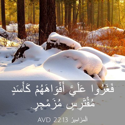 Picture 03 - اَلْمَزَامِيرُ 22:13 AVD - فَغَرُوا عَلَيَّ - Bible Verse Picture