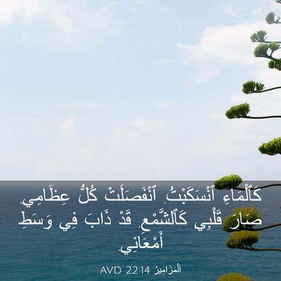 Picture 03 - اَلْمَزَامِيرُ 22:14 AVD - كَٱلْمَاءِ ٱنْسَكَبْتُ. - Bible Verse Picture
