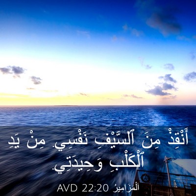 Picture 03 - اَلْمَزَامِيرُ 22:20 AVD - أَنْقِذْ مِنَ ٱلسَّيْفِ - Bible Verse Picture