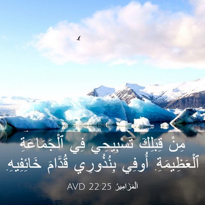 Picture 03 - اَلْمَزَامِيرُ 22:25 AVD - مِنْ قِبَلِكَ تَسْبِيحِي - Bible Verse Picture
