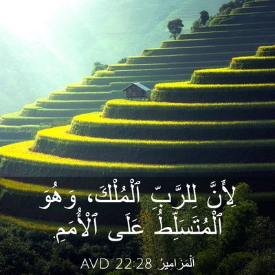 Picture 03 - اَلْمَزَامِيرُ 22:28 AVD - لِأَنَّ لِلرَّبِّ - Bible Verse Picture