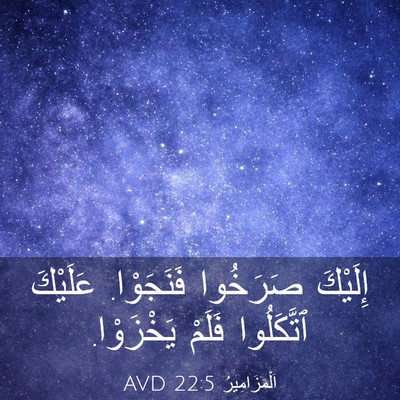 Picture 03 - اَلْمَزَامِيرُ 22:5 AVD - إِلَيْكَ صَرَخُوا - Bible Verse Picture