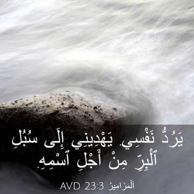Picture 03 - اَلْمَزَامِيرُ 23:3 AVD - يَرُدُّ نَفْسِي. - Bible Verse Picture