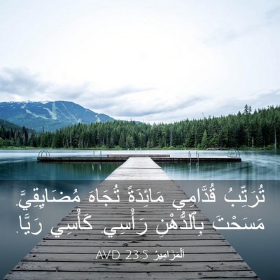 Picture 03 - اَلْمَزَامِيرُ 23:5 AVD - تُرَتِّبُ قُدَّامِي - Bible Verse Picture