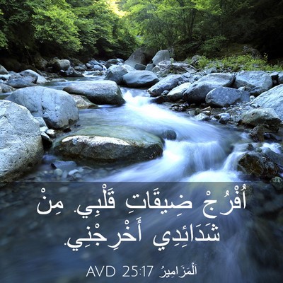 Picture 03 - اَلْمَزَامِيرُ 25:17 AVD - اُفْرُجْ ضِيقَاتِ قَلْبِي. - Bible Verse Picture