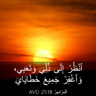 Picture 03 - اَلْمَزَامِيرُ 25:18 AVD - ٱنْظُرْ إِلَى ذُلِّي - Bible Verse Picture