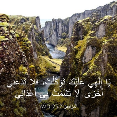 Picture 03 - اَلْمَزَامِيرُ 25:2 AVD - يَا إِلَهِي عَلَيْكَ - Bible Verse Picture