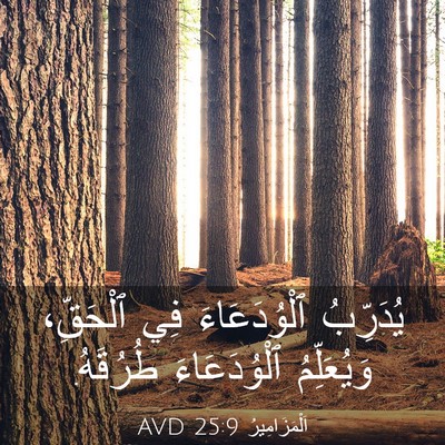 Picture 03 - اَلْمَزَامِيرُ 25:9 AVD - يُدَرِّبُ ٱلْوُدَعَاءَ - Bible Verse Picture
