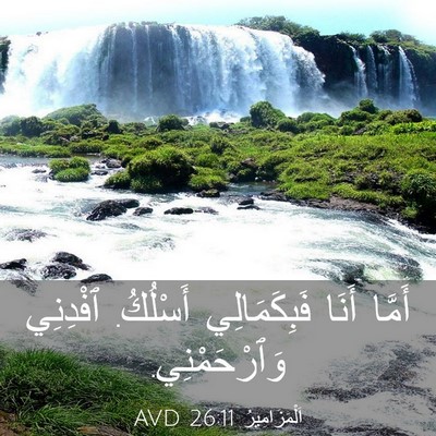 Picture 03 - اَلْمَزَامِيرُ 26:11 AVD - أَمَّا أَنَا فَبِكَمَالِي - Bible Verse Picture