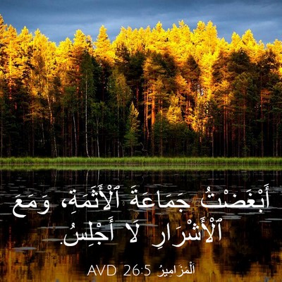 Picture 03 - اَلْمَزَامِيرُ 26:5 AVD - أَبْغَضْتُ جَمَاعَةَ - Bible Verse Picture