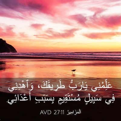 Picture 03 - اَلْمَزَامِيرُ 27:11 AVD - عَلِّمْنِي يَارَبُّ - Bible Verse Picture