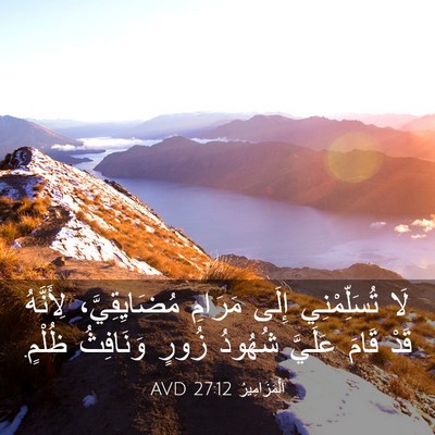 Picture 03 - اَلْمَزَامِيرُ 27:12 AVD - لَا تُسَلِّمْنِي إِلَى - Bible Verse Picture