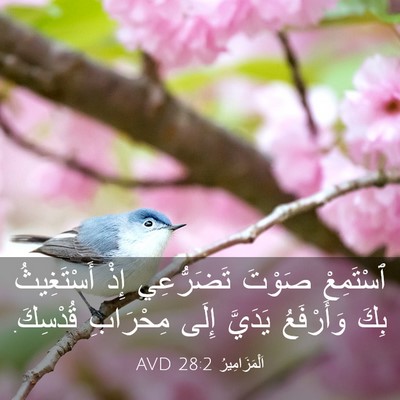 Picture 03 - اَلْمَزَامِيرُ 28:2 AVD - ٱسْتَمِعْ صَوْتَ - Bible Verse Picture