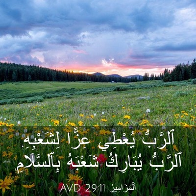 Picture 03 - اَلْمَزَامِيرُ 29:11 AVD - ٱلرَّبُّ يُعْطِي عِزًّا - Bible Verse Picture
