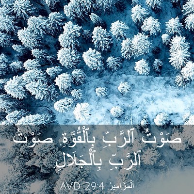 Picture 03 - اَلْمَزَامِيرُ 29:4 AVD - صَوْتُ ٱلرَّبِّ - Bible Verse Picture