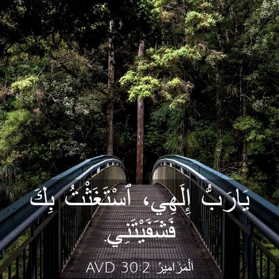 Picture 03 - اَلْمَزَامِيرُ 30:2 AVD - يَارَبُّ إِلَهِي، - Bible Verse Picture
