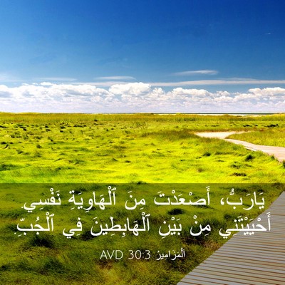 Picture 03 - اَلْمَزَامِيرُ 30:3 AVD - يَارَبُّ، أَصْعَدْتَ مِنَ - Bible Verse Picture