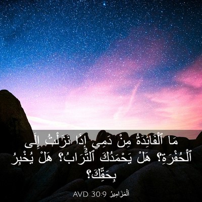 Picture 03 - اَلْمَزَامِيرُ 30:9 AVD - مَا ٱلْفَائِدَةُ مِنْ - Bible Verse Picture