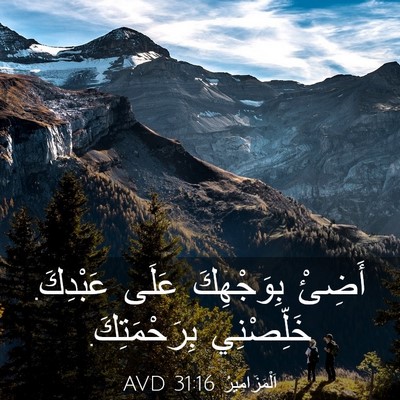 Picture 03 - اَلْمَزَامِيرُ 31:16 AVD - أَضِئْ بِوَجْهِكَ عَلَى - Bible Verse Picture