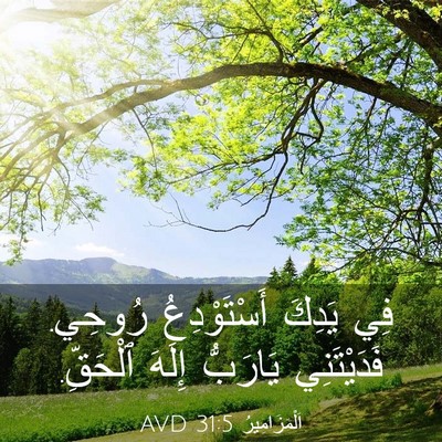Picture 03 - اَلْمَزَامِيرُ 31:5 AVD - فِي يَدِكَ أَسْتَوْدِعُ - Bible Verse Picture