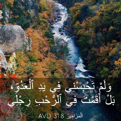 Picture 03 - اَلْمَزَامِيرُ 31:8 AVD - وَلَمْ تَحْبِسْنِي فِي - Bible Verse Picture