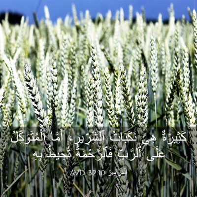 Picture 03 - اَلْمَزَامِيرُ 32:10 AVD - كَثِيرَةٌ هِيَ نَكَبَاتُ - Bible Verse Picture