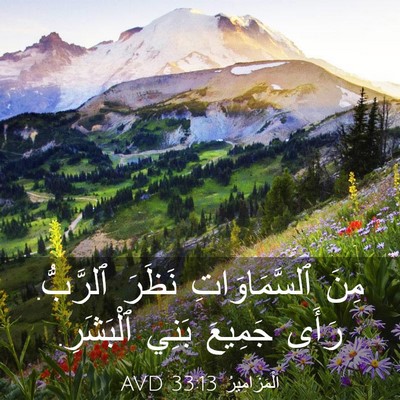 Picture 03 - اَلْمَزَامِيرُ 33:13 AVD - مِنَ ٱلسَّمَاوَاتِ نَظَرَ - Bible Verse Picture