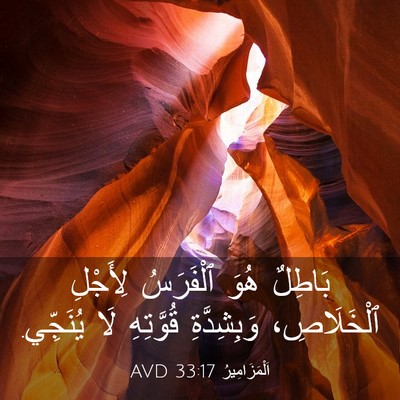 Picture 03 - اَلْمَزَامِيرُ 33:17 AVD - بَاطِلٌ هُوَ ٱلْفَرَسُ - Bible Verse Picture
