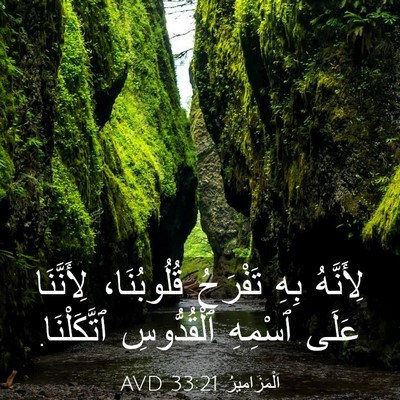 Picture 03 - اَلْمَزَامِيرُ 33:21 AVD - لِأَنَّهُ بِهِ تَفْرَحُ - Bible Verse Picture
