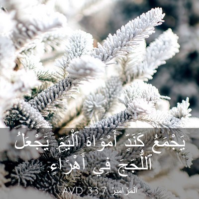 Picture 03 - اَلْمَزَامِيرُ 33:7 AVD - يَجْمَعُ كَنَدٍّ - Bible Verse Picture