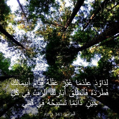 Picture 03 - اَلْمَزَامِيرُ 34:1 AVD - لِدَاوُدَ عِنْدَمَا - Bible Verse Picture