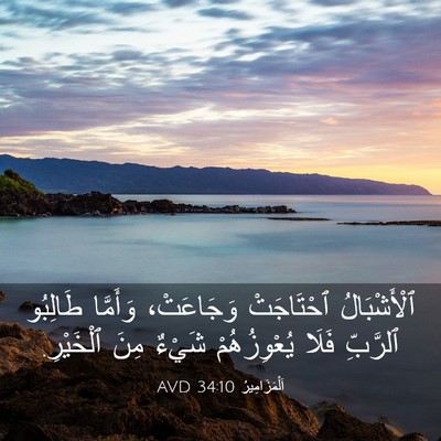 Picture 03 - اَلْمَزَامِيرُ 34:10 AVD - ٱلْأَشْبَالُ ٱحْتَاجَتْ - Bible Verse Picture