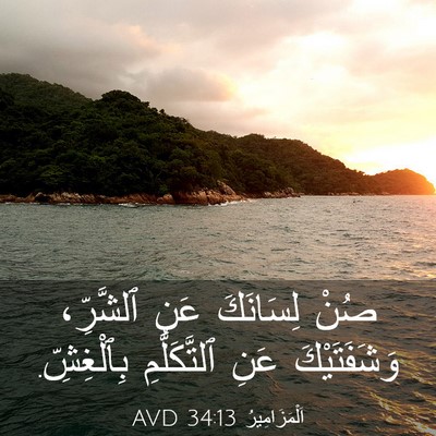 Picture 03 - اَلْمَزَامِيرُ 34:13 AVD - صُنْ لِسَانَكَ عَنِ - Bible Verse Picture
