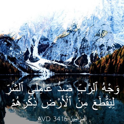 Picture 03 - اَلْمَزَامِيرُ 34:16 AVD - وَجْهُ ٱلرَّبِّ ضِدُّ - Bible Verse Picture