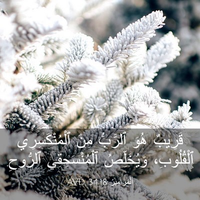 Picture 03 - اَلْمَزَامِيرُ 34:18 AVD - قَرِيبٌ هُوَ ٱلرَّبُّ مِنَ - Bible Verse Picture