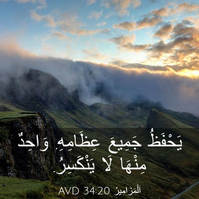 Picture 03 - اَلْمَزَامِيرُ 34:20 AVD - يَحْفَظُ جَمِيعَ - Bible Verse Picture