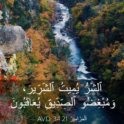 Picture 03 - اَلْمَزَامِيرُ 34:21 AVD - ٱلشَّرُّ يُمِيتُ - Bible Verse Picture