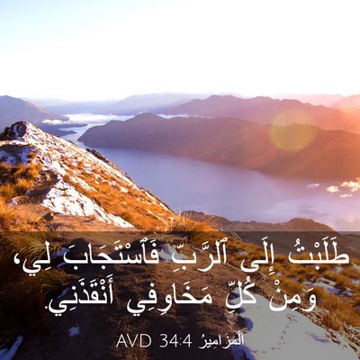 Picture 03 - اَلْمَزَامِيرُ 34:4 AVD - طَلَبْتُ إِلَى ٱلرَّبِّ - Bible Verse Picture