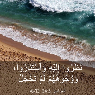 Picture 03 - اَلْمَزَامِيرُ 34:5 AVD - نَظَرُوا إِلَيْهِ - Bible Verse Picture