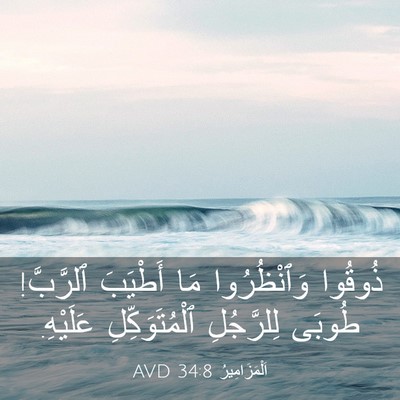 Picture 03 - اَلْمَزَامِيرُ 34:8 AVD - ذُوقُوا وَٱنْظُرُوا مَا - Bible Verse Picture